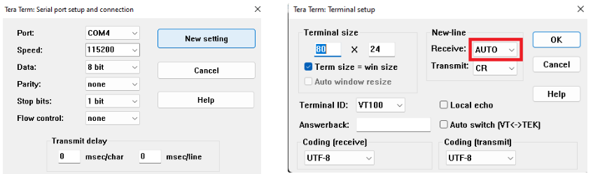 Teraterm config