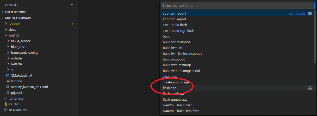 Run flash task